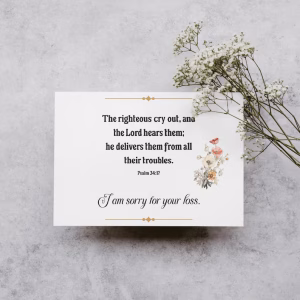 il 794xN.6191065157 k4uy